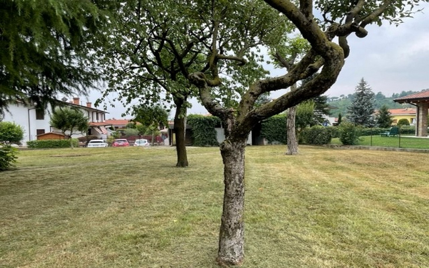 foto4
